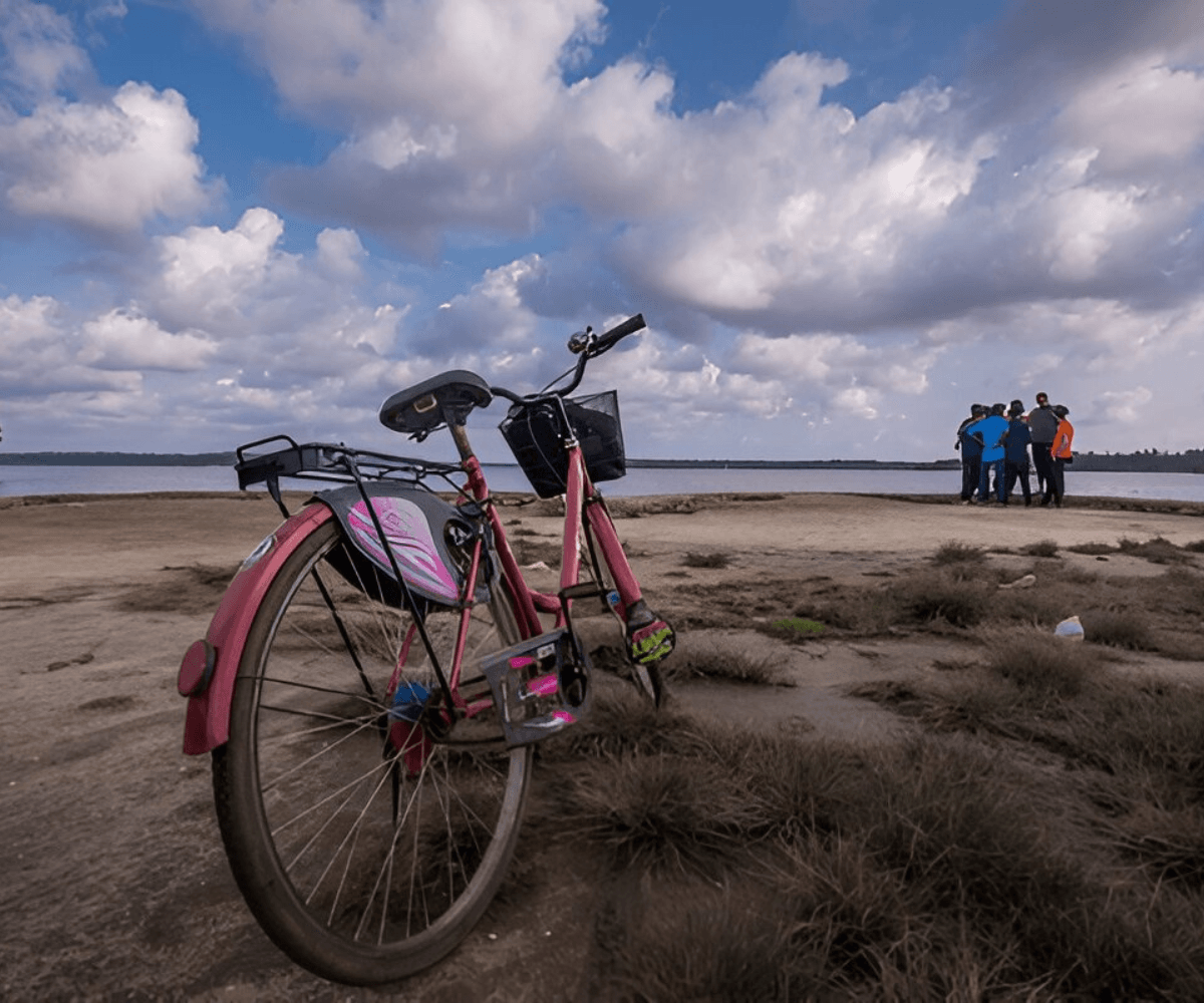 Untitled design (33)