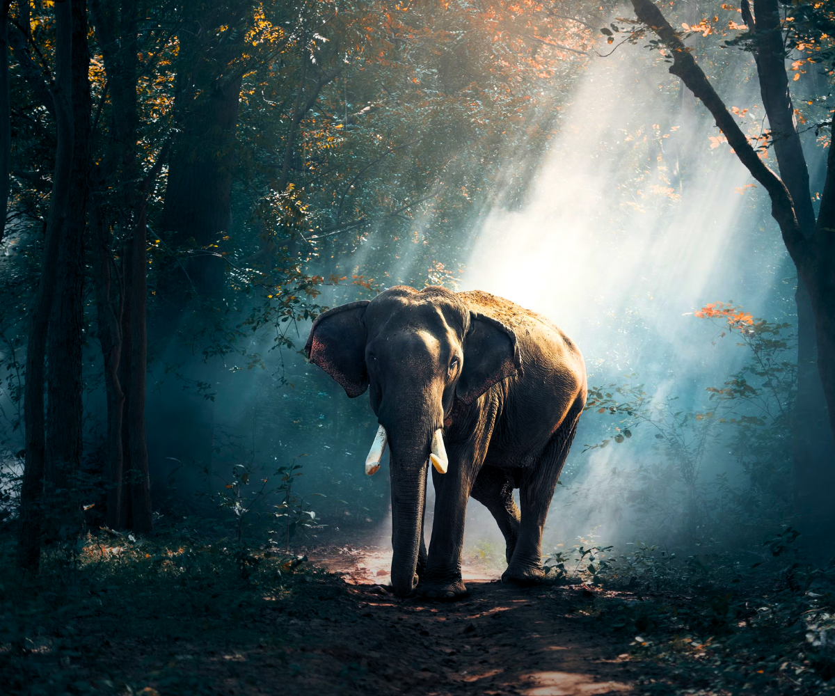 Untitled design (17)