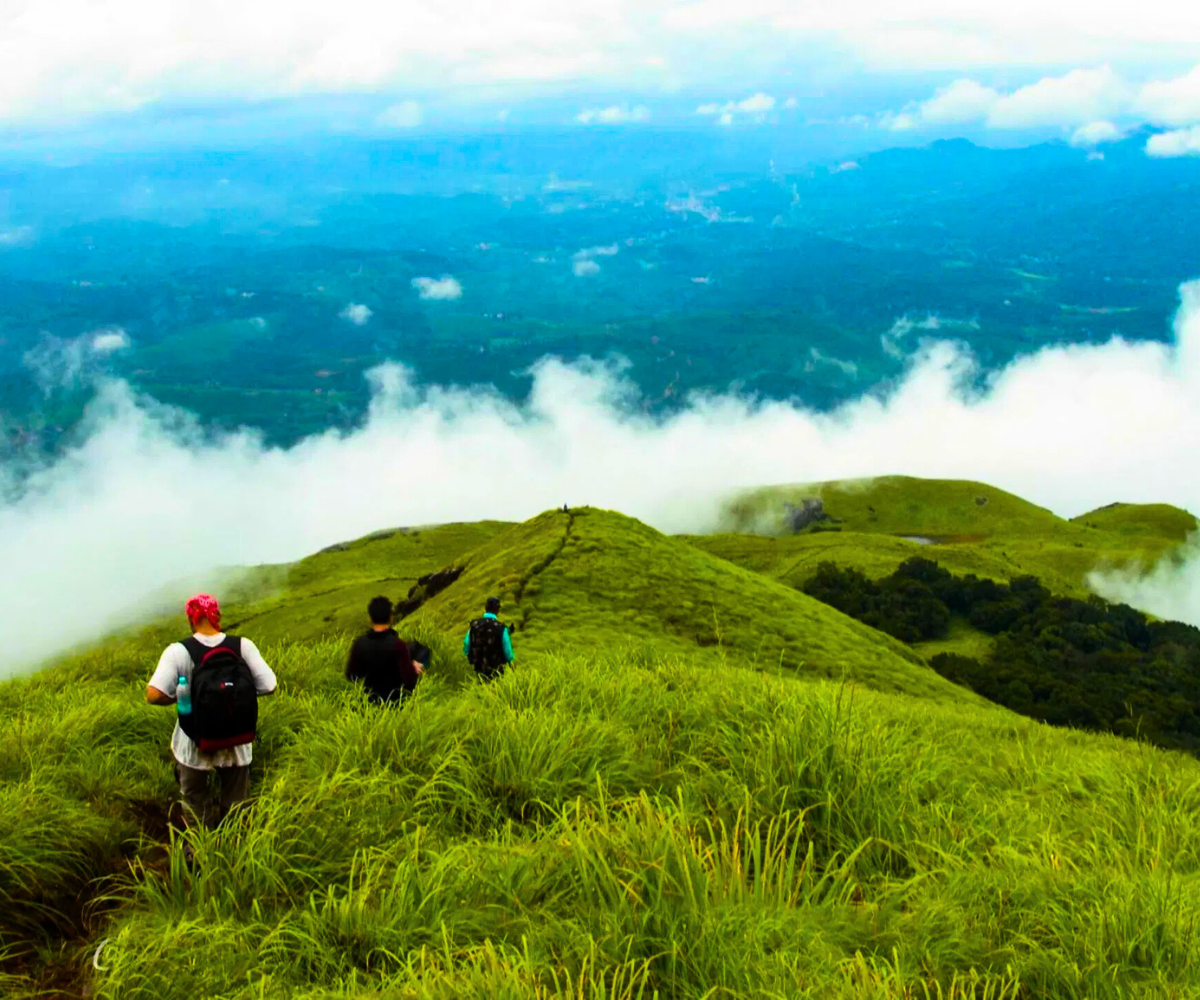 Untitled design (18)