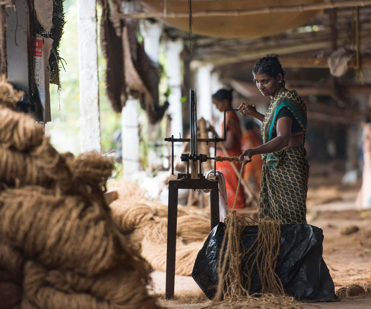 mtg galery images (3)