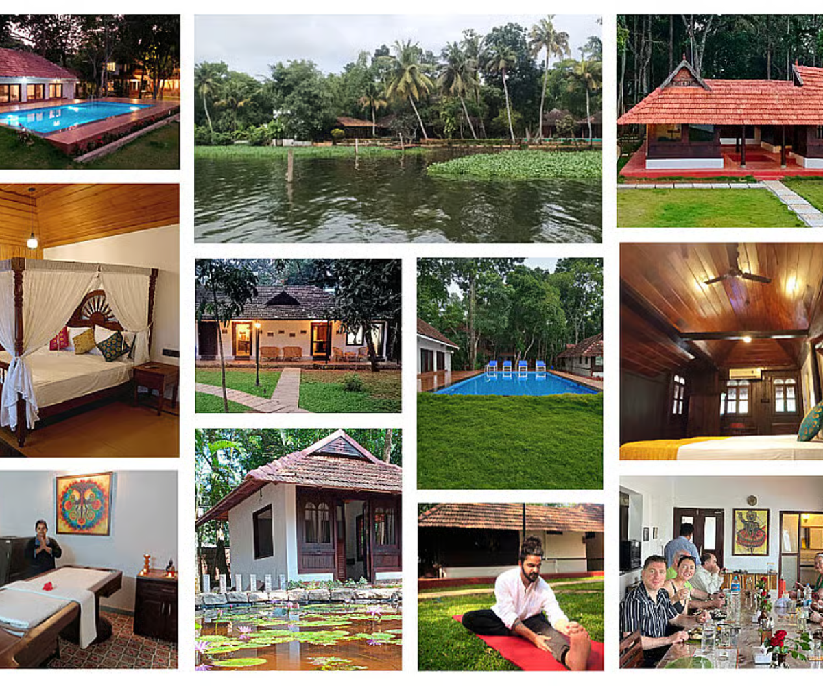 mtg galery images (2)